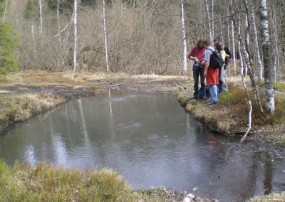 Buffogó bubbling pool