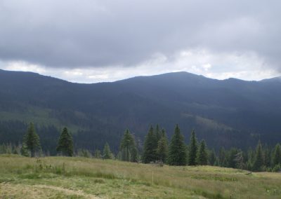 Interior of the Varghis debris avalanche depression