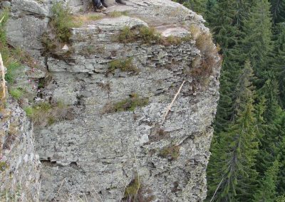 Platty-jointed andesite lava cliff at the Scaunul Peak (southern Călimani Mts.)